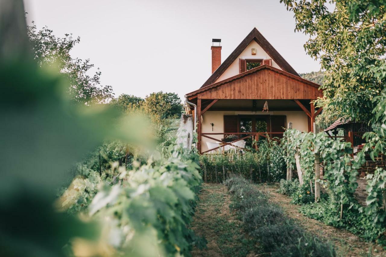 Szent Gyoergy Cottage Hegymagas Dış mekan fotoğraf