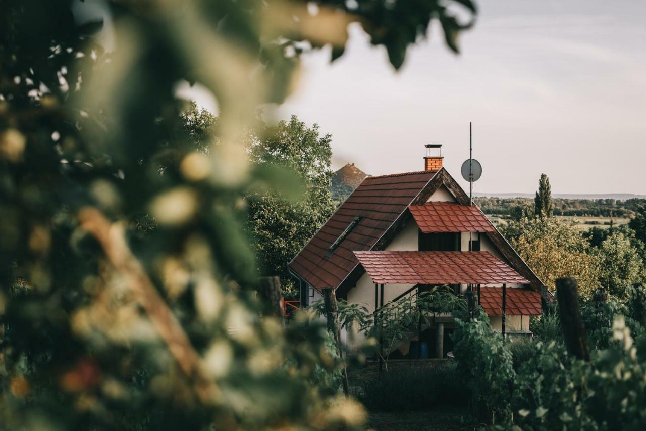Szent Gyoergy Cottage Hegymagas Dış mekan fotoğraf