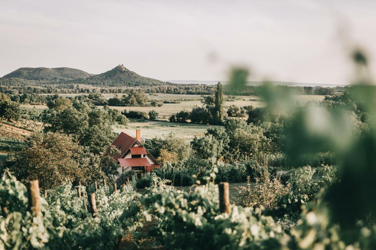 Szent Gyoergy Cottage Hegymagas Dış mekan fotoğraf